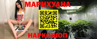 амф Гусев
