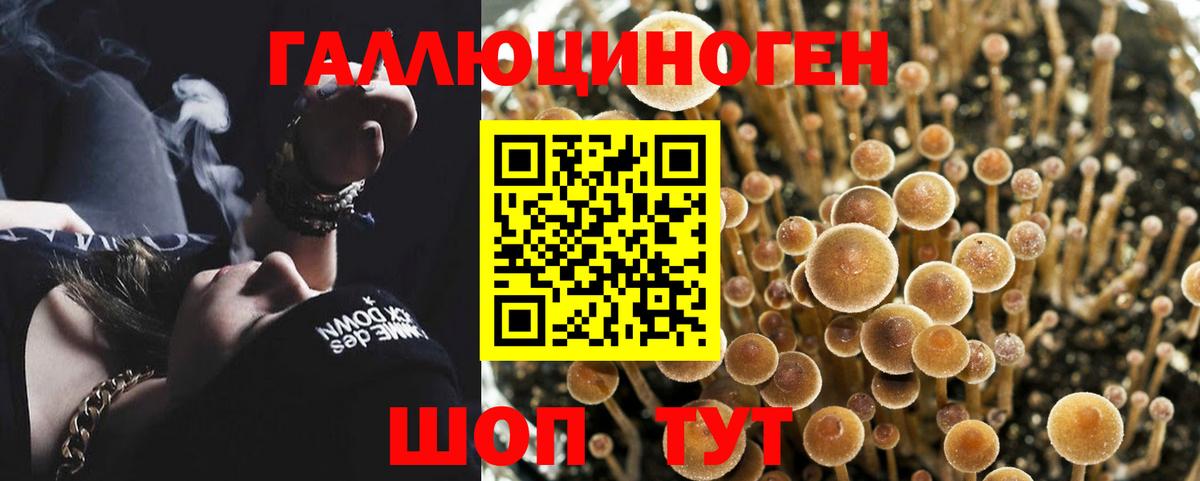 Псилоцибиновые грибы мухоморы Нерюнгри